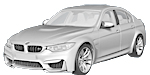 BMW F80 P1004 Fault Code